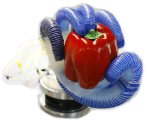 RBO_hand_pepper